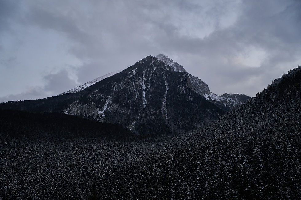 _A732514.jpg