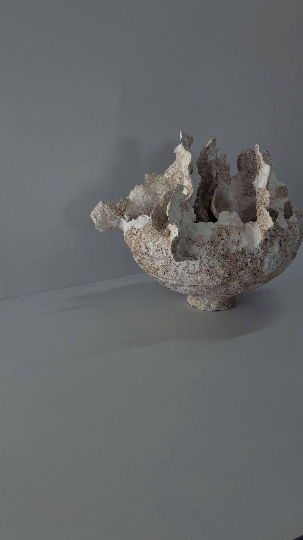 WhatsApp Image 2025-07-14 at 11.30.56 AM (3)