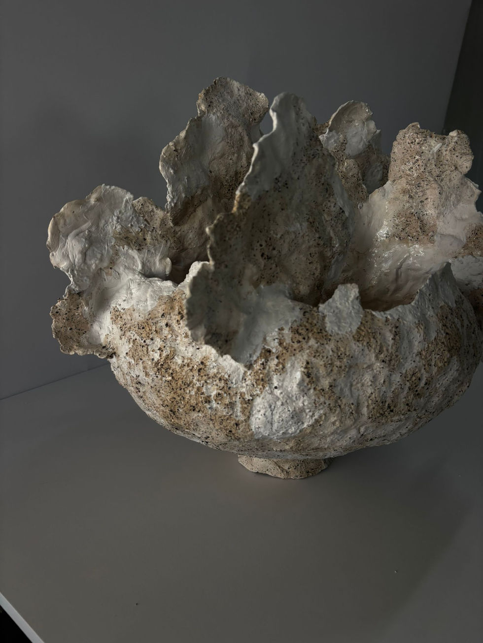 WhatsApp Image 2025-07-14 at 11.30.58 AM (3)