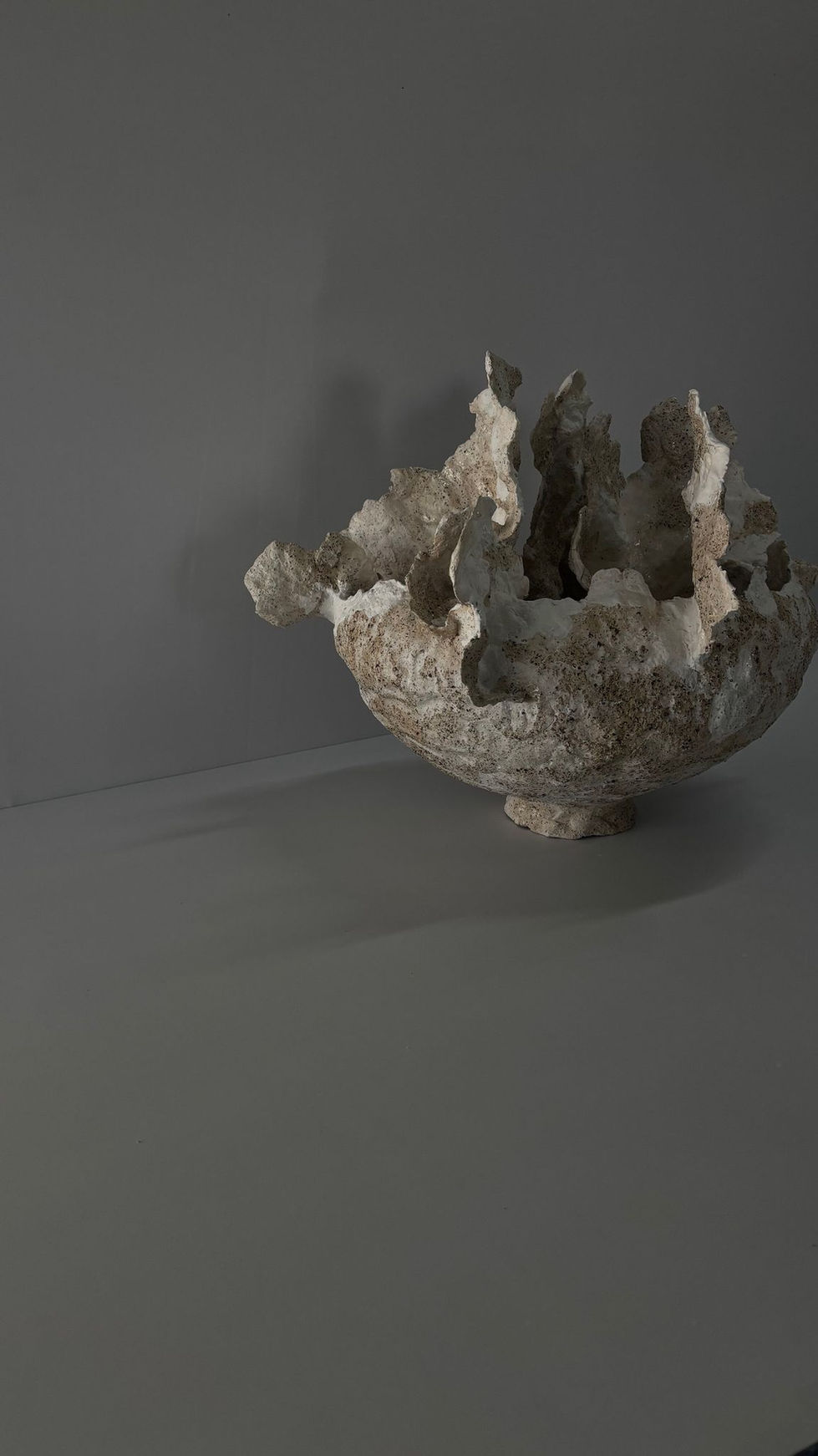 WhatsApp Image 2025-07-14 at 11.30.56 AM (2)