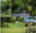 image collage with white stripe.jpg