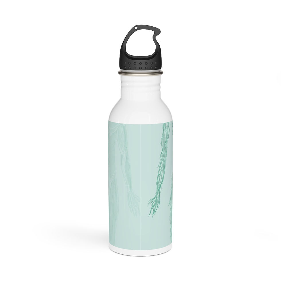 Thumbnail: Cardiovascular & Mascular System Stainless Steel Water Bottle