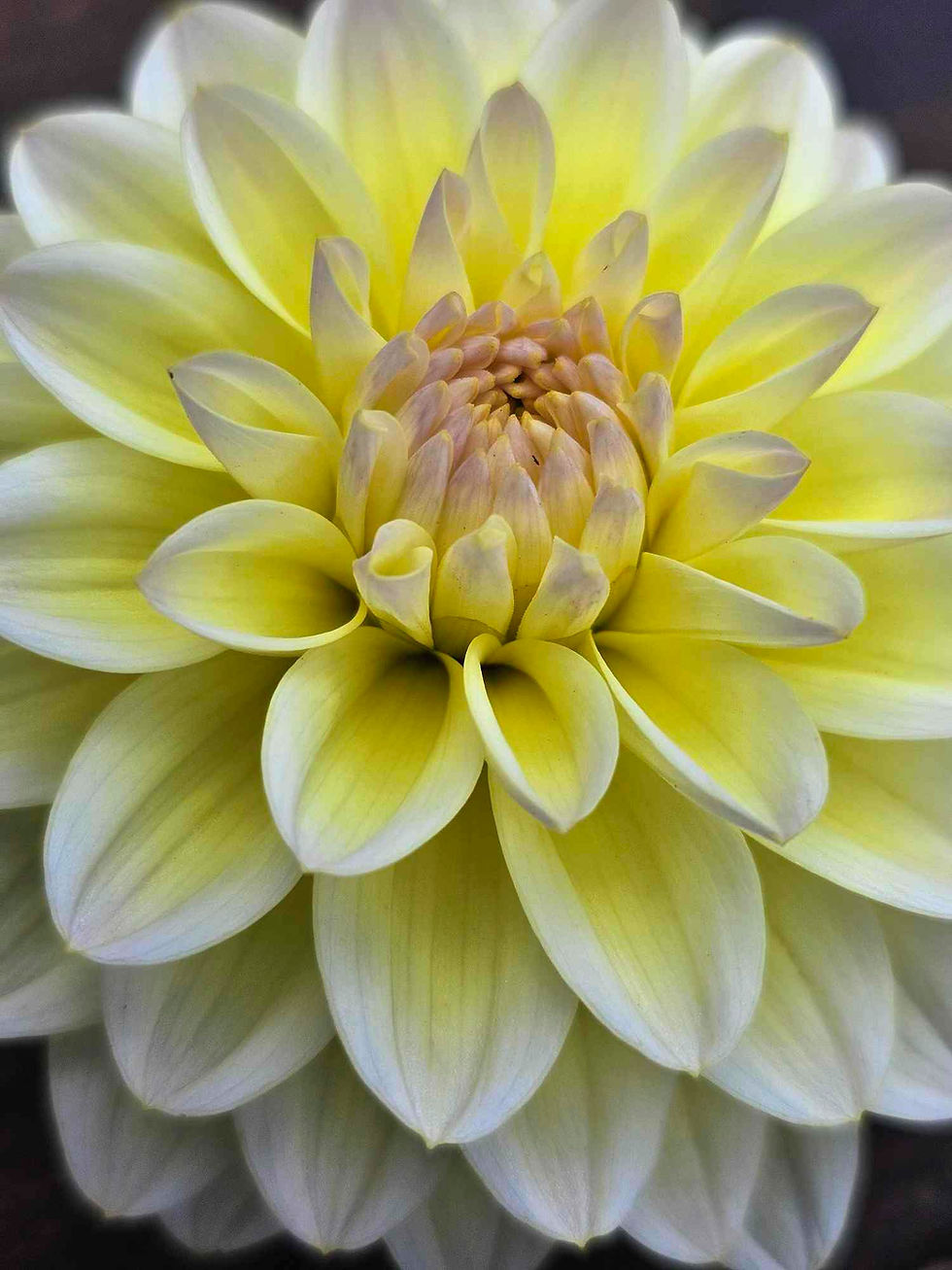 Thumbnail: Innocence Silence