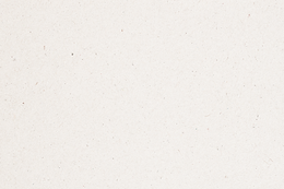 Paper Texture_edited_edited.png