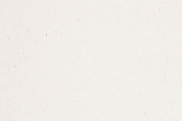 Paper Texture_edited_edited.png
