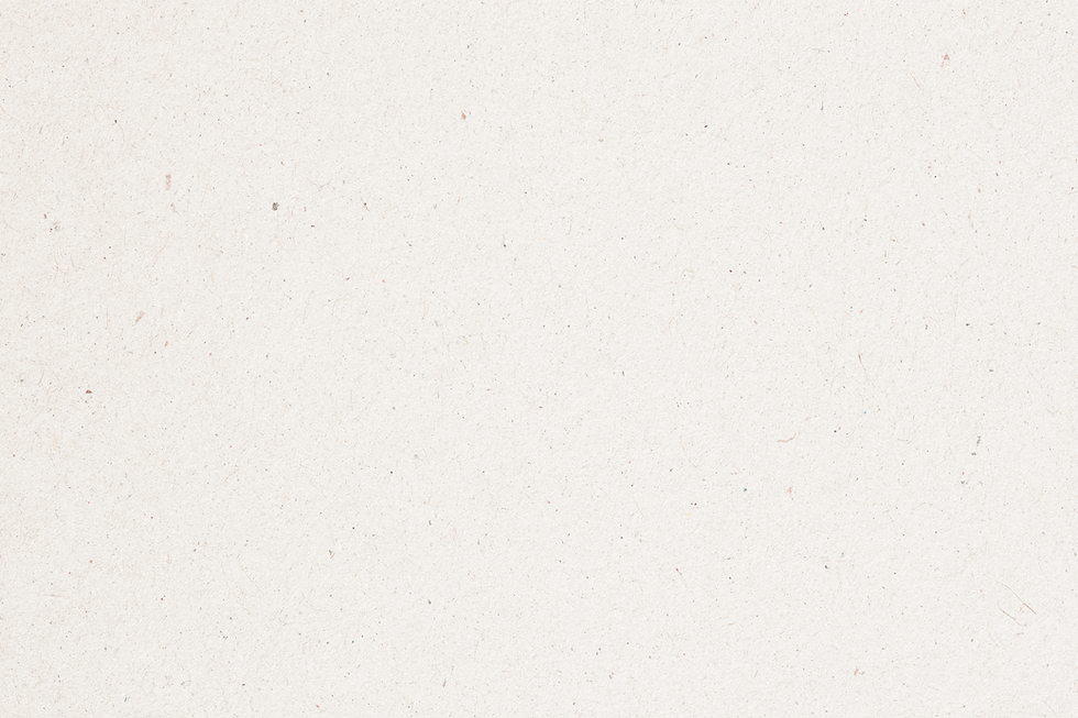 Paper Texture_edited_edited.png