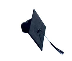 Screenshot 2025-05-04 172813_edited.png