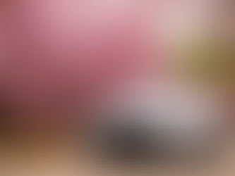 桃園賞櫻秘境!聖德路櫻花巷夢幻綻放