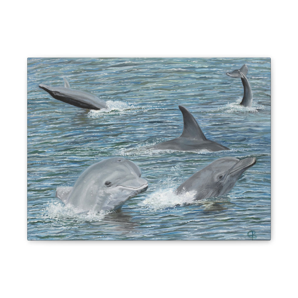 Dolphins At Play On A Canvas Print, 0.75"