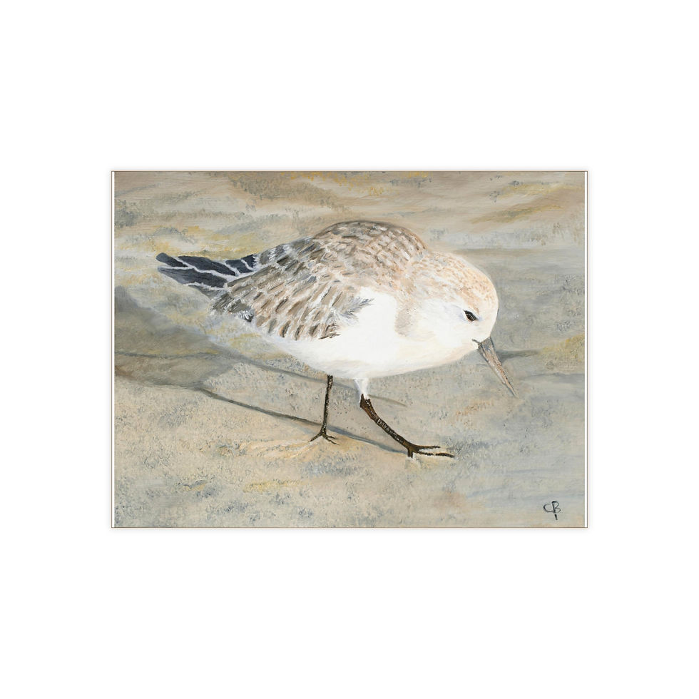 Thumbnail: Sandpiper Original Oil Painting Print On A Ceramic Photo Tile
