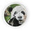 Thumbnail: Panda Bear Animal On A Wall clock