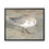 Thumbnail: Framed Running Sandpiper Coastal Seabird Original Oil Painting Print 