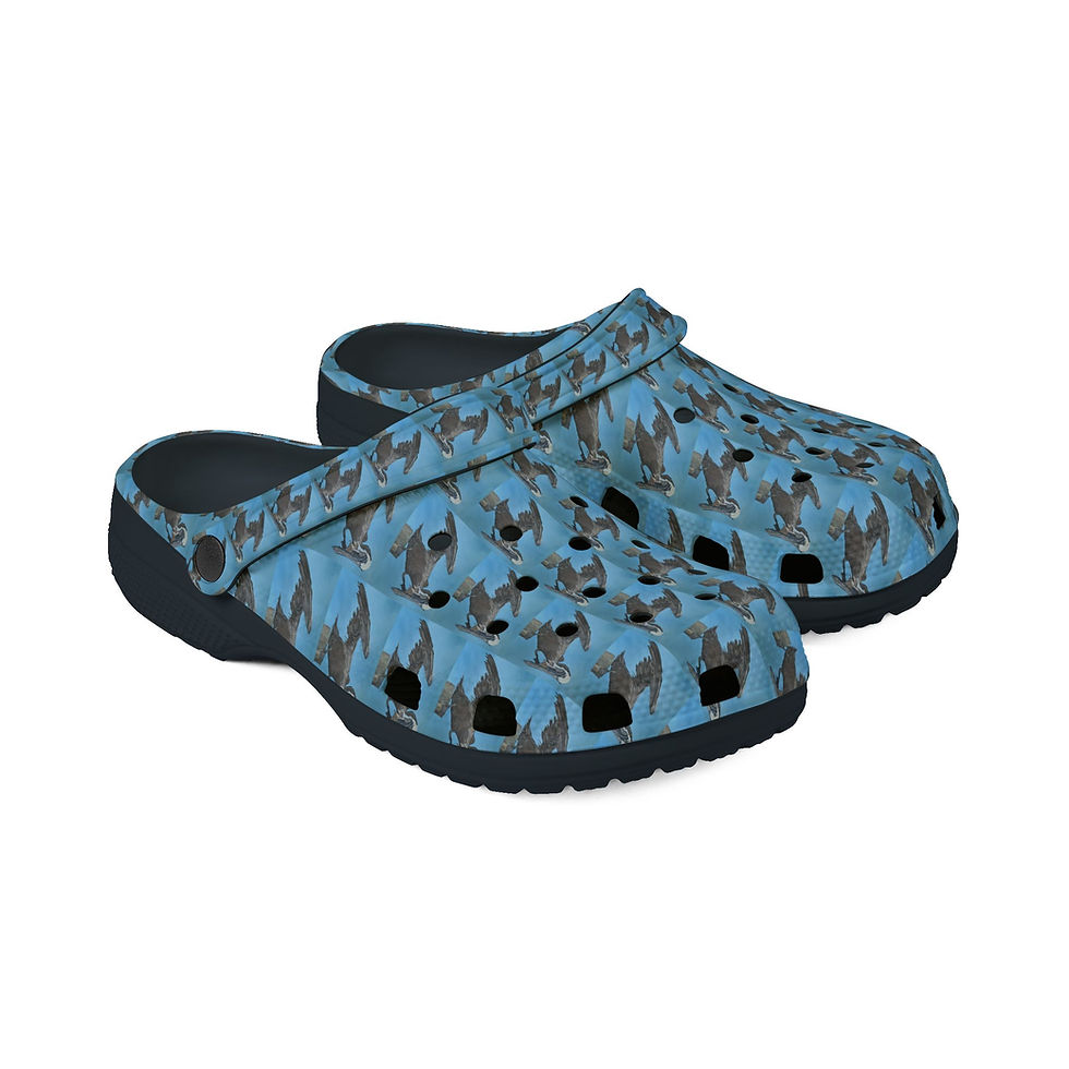 Thumbnail: Dancing Calabash Pelican EVA Foam Rubber Shoes (AOP)