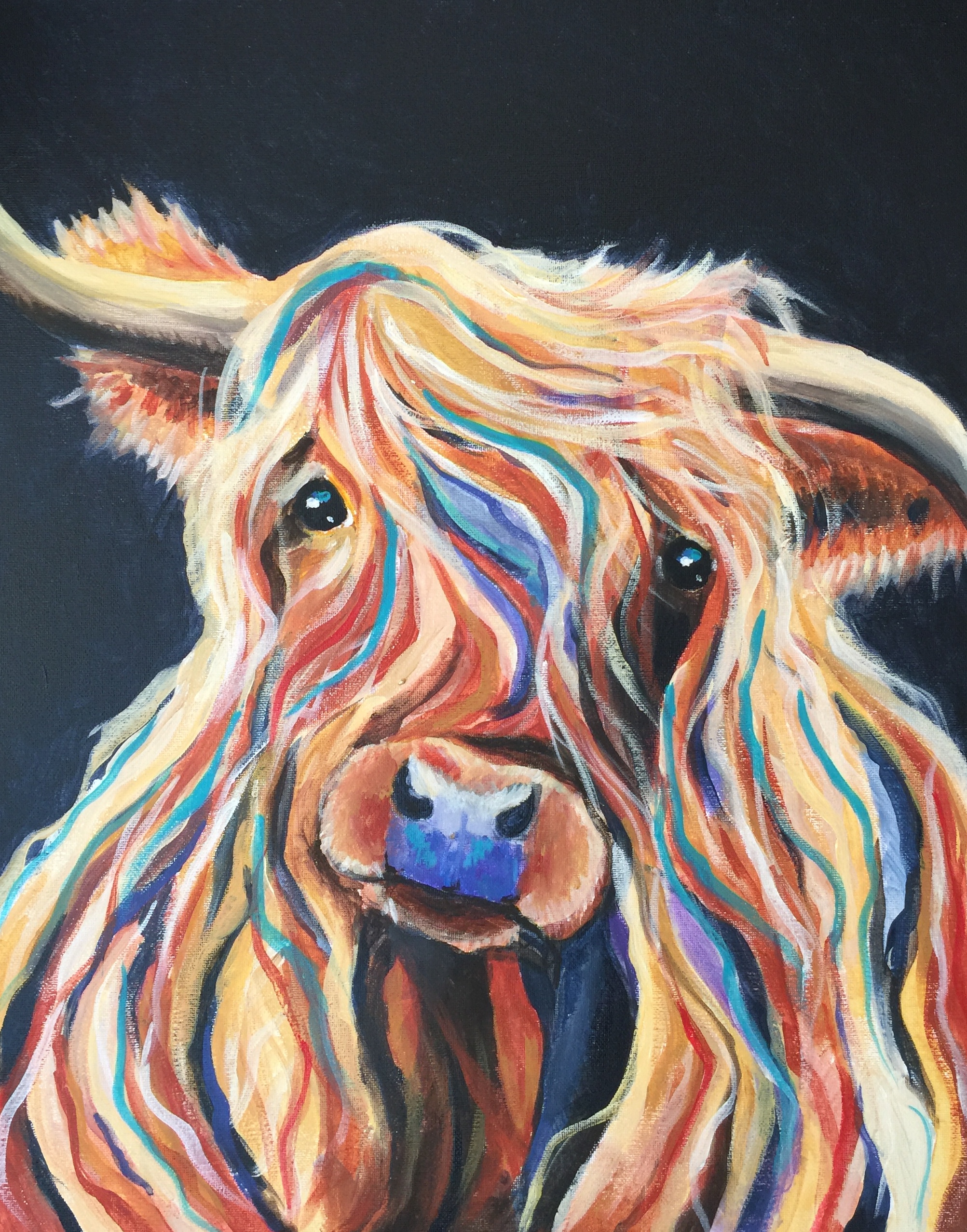 Highland Cow @ The Como Hotel - Como