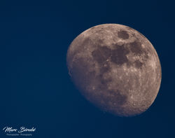 Elle n'a pas besoin de présentation :)