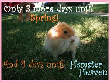HHpromoSpringDay4