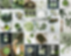Social media marketing, emails and PPC for Natural products, proteins, drinks, herbs, CBD - CAS Branding