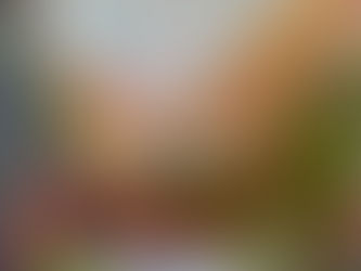 Group Show, « Horizon partagé » , galerie The Muisca, Paris 4e, 13 rue d’Ormesson. 