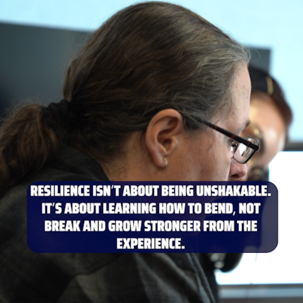 Resilience - Snez