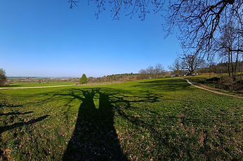 20220328_160908.jpg