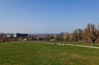 20220328_153110.jpg