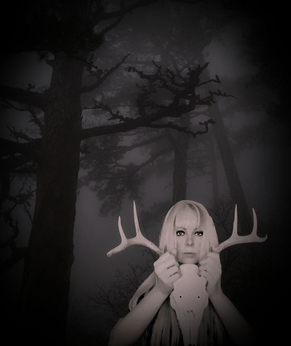 k forest (1)_edited_edited.jpg