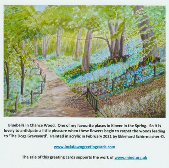 Bluebells in Chance Wood.jpeg