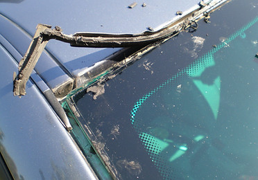 Damaged Windscreen Moulding