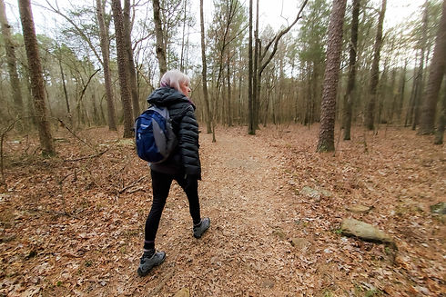 Collins Creek Heber Springs 20200215_162227.jpg