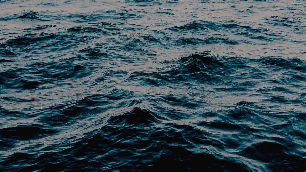 Blue, White, and Black Photographic Environment Charity Non-Profit Website (1920 x 1080 px