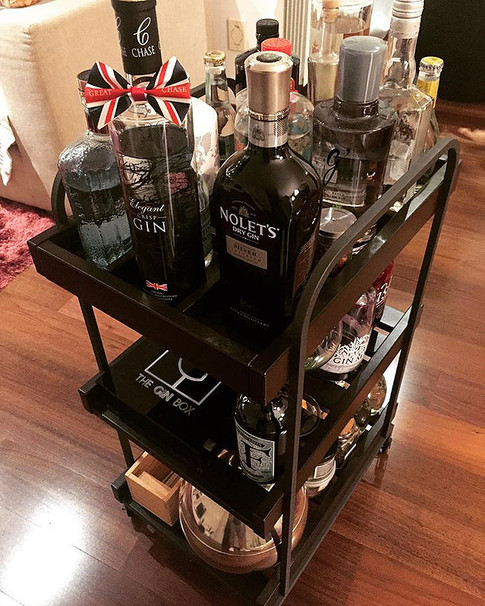 Gins Premium