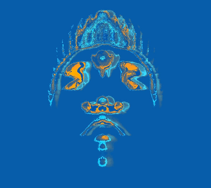 HolloFace_003.JPG