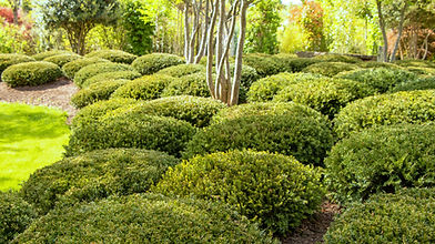 iStock-2149131739_edited.jpg