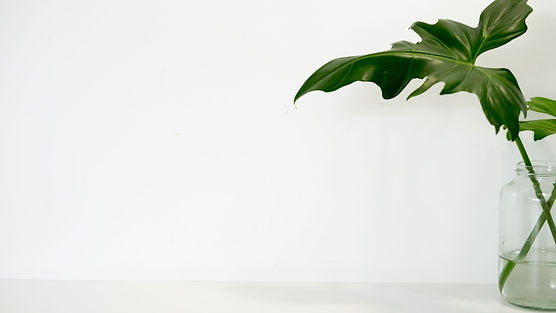 green plant in a jar