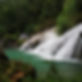 Jungle%20Waterfall_edited.jpg