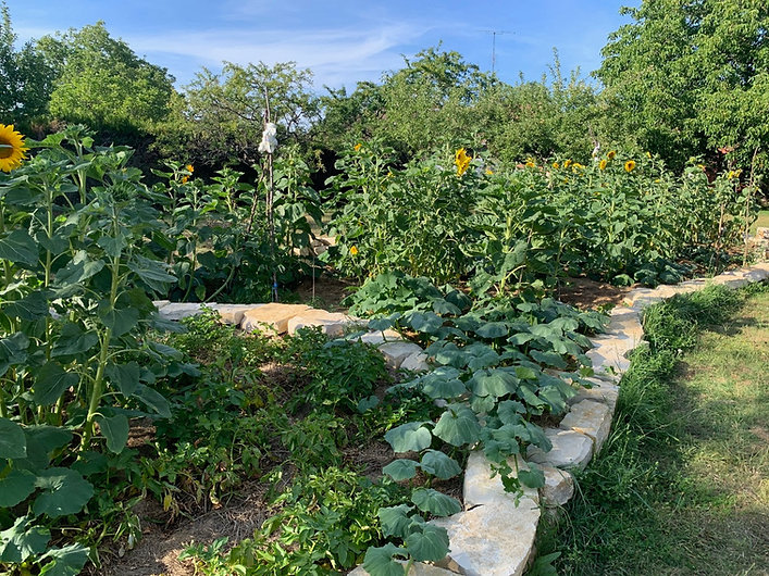 Hortus d'Éleane