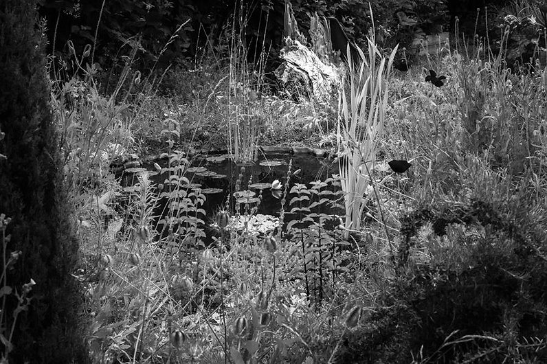 Sinum Hortus