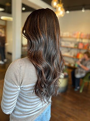 Chocolate Highlights