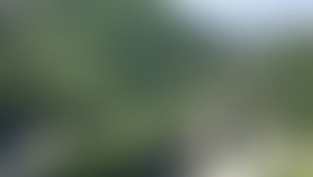 The valley of the Trebbia