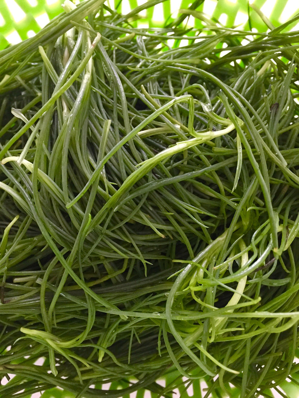 Monk's beard