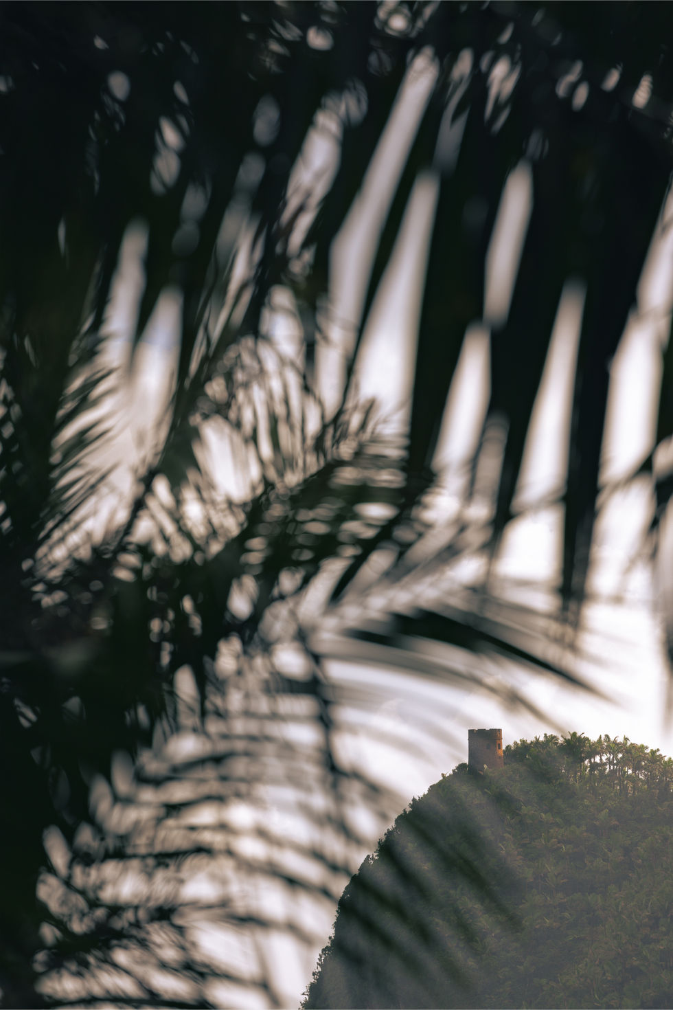 Portfolio (portrait) 10.jpg