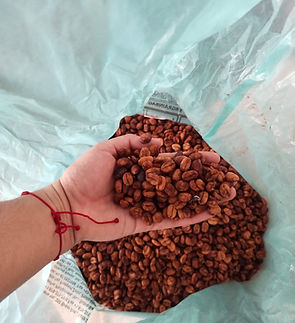 WhatsApp Image 2024-10-03 at 7.55.30 AM(1).jpeg