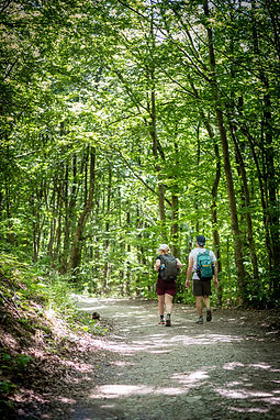Basolato_Romano_009 - Appennino_2021 - ©Lab051.jpg