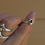Thumbnail: Garnet star ring