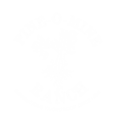 Pine O Mine You pick apples logo white