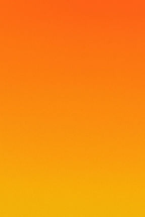 Bild 1 Orange Goldorange.jpeg