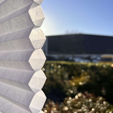 Honeycomb blinds cross section