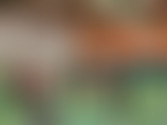 Schnelle Beine, schnelle Bälle