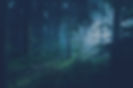 That's the Spirit | Ghost Hunts