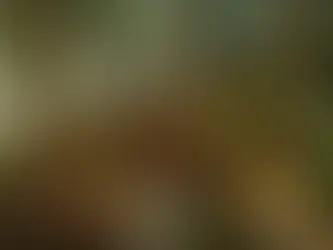 La medicina ayurveda es una ciencia de vida. Propone entender tu cuerpo, tu energía y tus hábitos para mantener el equilibrio antes de que aparezca la enfermedad.